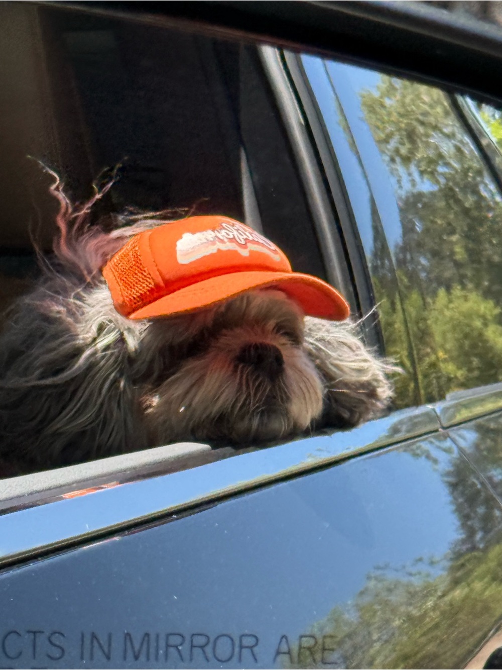 Dog Trucker Hat by Pup Lid